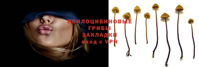 гидропоника Алзамай