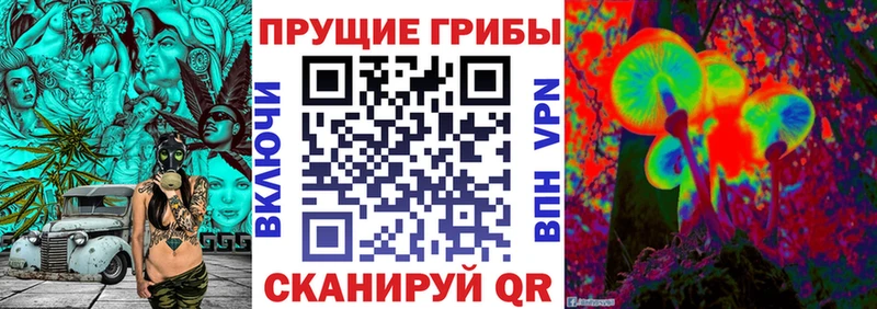 сайты даркнета как зайти  Черкесск  Псилоцибиновые грибы GOLDEN TEACHER  kraken ССЫЛКА 